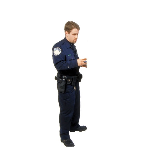police officer in verbal behavior  category